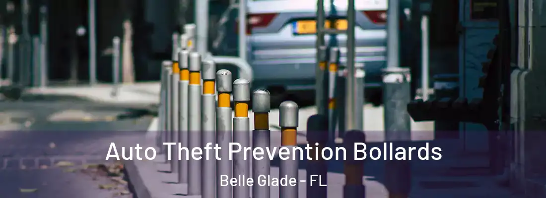  Auto Theft Prevention Bollards Belle Glade - FL