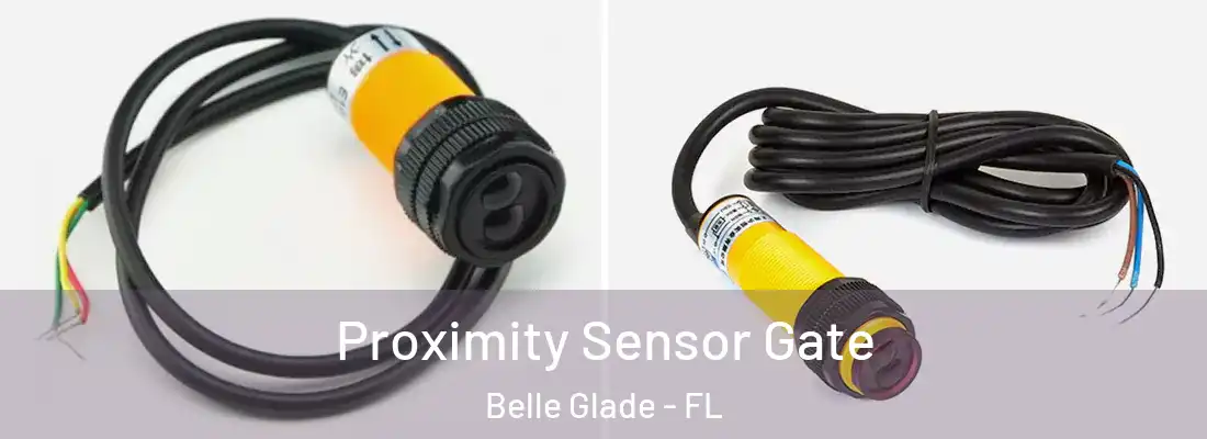  Proximity Sensor Gate Belle Glade - FL